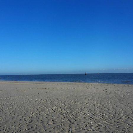 Private Logies Texel Woodart Midden-Eierland Dış mekan fotoğraf
