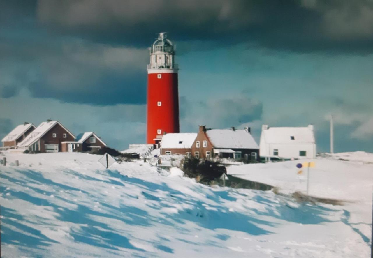 Private Logies Texel Woodart Midden-Eierland Dış mekan fotoğraf