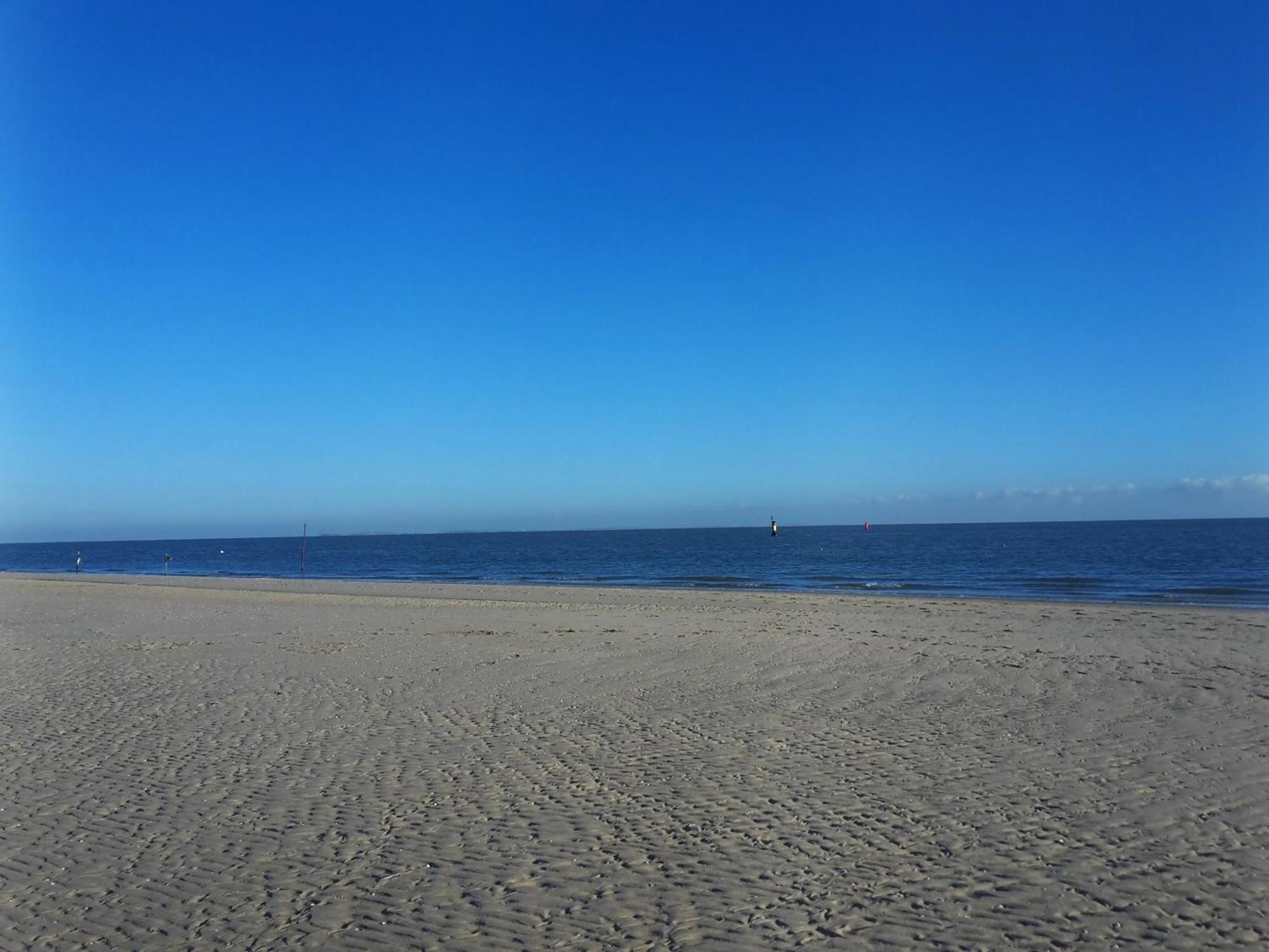 Private Logies Texel Woodart Midden-Eierland Dış mekan fotoğraf